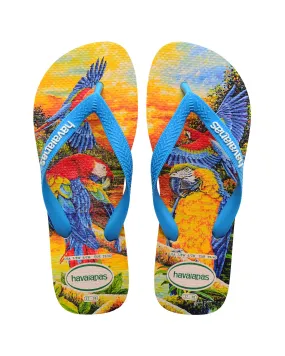 Havaianas Bei in fantasia pappagalli con fascetta azzurra e logo bianco